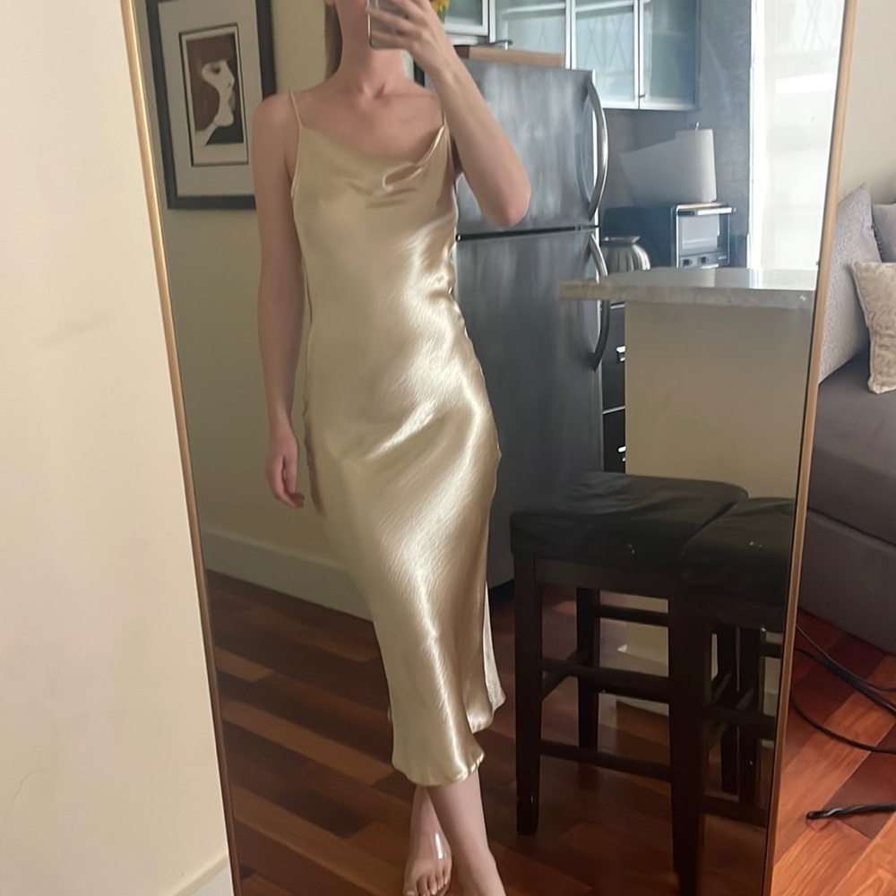 Rat and boa dress
